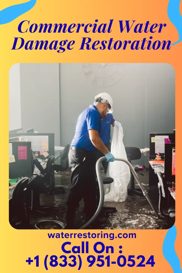 Commercial Water Damage Restoration in Boulevard Gardens, FL