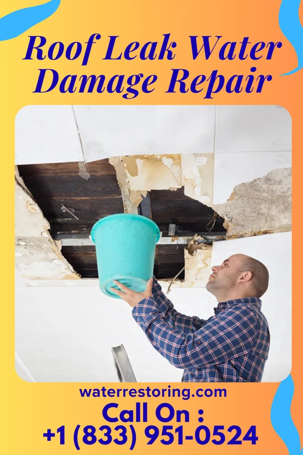 Roof Leak Water Damage Repair in Boulevard Gardens, FL